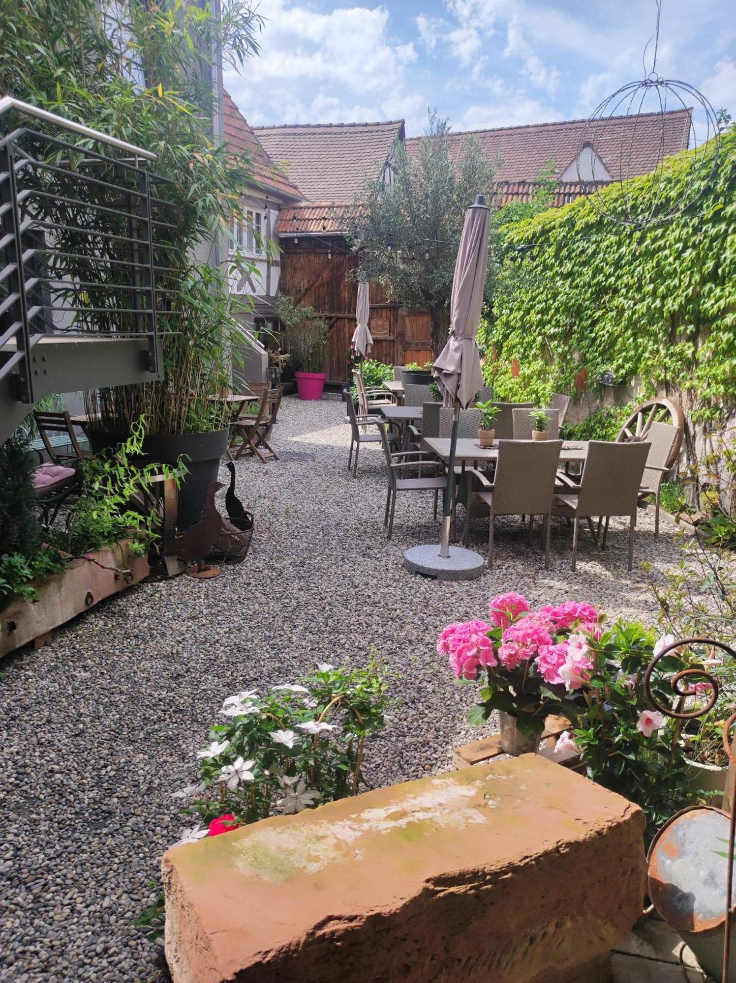 Hofgarten Rosa Ilbesheim bei Landau in der Pfalz Экстерьер фото